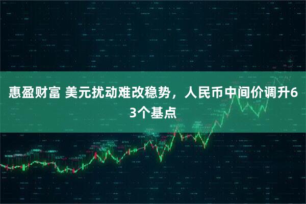 惠盈财富 美元扰动难改稳势，人民币中间价调升63个基点